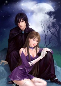 妖妃斗邪王
