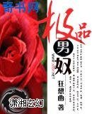 极品男奴